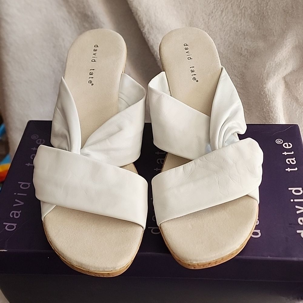 David Tate size 12 sandles in box